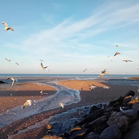 Thalassa * Audresselles